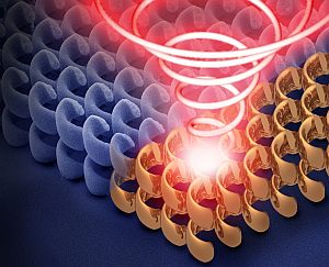 One of the topics of the “Physics on Saturdays” lecture series: KIT researchers describing  three-dimensional metamaterials. (Photograph: CFN)