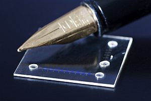 Ultraflacher Flüssigkeits-Farbstofflaser: Der nanostrukturierte Boden des 0,5 Millimeter breiten und 1,6 Mikrometer hohen Mikrokanals beugt blaues Licht in Richtung des Beobachters. (Foto: KIT)