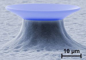 Aufnahme eines Mikrokelch-Resonators mit dem Rasterelektronenmikroskop. (Bild:  Institut für Angewandte Physik, AG Kalt)