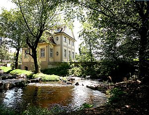 Das WWF-Auen-Instiut in Rastatt erforscht die Auen-Ökosysteme mit Blick auf ihre Bedeutung für Mensch und Natur. (Foto: WWF-Auen-Institut)