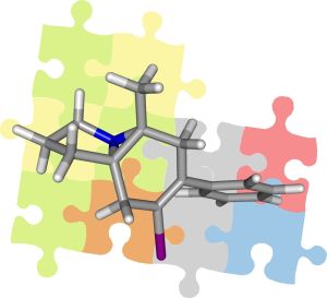 Puzzle gelöst: Mittels dipolarer Restkopplungen lassen sich Strukturen organischer Moleküle nachweisen. (Grafik: Grit Kummerlöwe und R. Oehme)