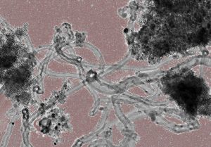 Forschung an neuen Speichermaterialien: Kohlenstoffnanoröhren erleichtern die  elektrische Leitung (Foto: INT)