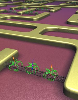 „Selbstorganisiert“ zum Nano-Schalter: Magnetische Moleküle (grün) ordnen sich auf einer Kohlenstoffnanoröhre (schwarz) an, um ein elektronisches Bauteil zu bauen. (Abbildung: C. Gruppe, KIT)