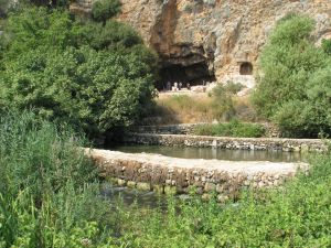 Die Jordanquelle ist noch reich an Wasser, während im unteren Jordantal Wasser-mangel herrscht (Foto: Nico Goldscheider).