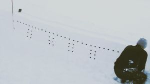 Lawinenauslösung im Schneeblock: Beschleunigungssensoren in der Schneedecke messen die Bruchgeschwindigkeit. (Foto: A. van Herwijnen)