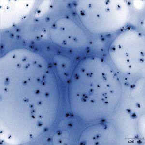 Silber-Nanopartikel auf Lachs-DNA nach der Bestrahlung mit UV-Licht (transmissionselektronenmikroskopische Aufnahme: Philipp Mueller, CFN) 