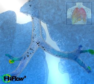 Die Simulationen des Projektes HiFlow3 am KIT bilden detailiert die Lüftströmung in der Lunge ab und hilft Feinstaubablagerungen zu verstehen.  (Bild: HiFlow3/KIT)