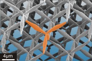 Das stabile Vierbein (orange eingefärbt) ist das Grundelement des Pentamode-Metamaterials. Es wird so zu einem dreidimensionalen diamantartigen Kristall angeordnet, dass sich das daraus resultierende Material insgesamt verformen lässt.  (Bildquelle: CFN, KIT)