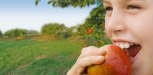 Wie sich der Verzehr von Gemüse und Obst auf die Gesundheit auswirkt, erforschen  Wissenschaftler im deutsch-französischen Netzwerk nutrhi.net. (Foto: nutrhi.net)
