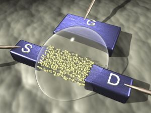 Transistor aus Nanopartikeln – die Struktur kann mit Standardtechnologie gedruckt werden (gelb: Nanopartikel-Kanal; weiß: Elektrolyt; blau: Elektroden: Gate (dt. Steueranschluss), Source (dt. Quelle) und Drain (dt. Abfluss))(Abb.: INT)