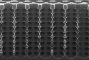 Tief unter die Siliziumoberfläche hat das SPRIE-Verfahren regelmäßige Strukturen  im Mikrometerbereich erzeugt, an denen sich Licht brechen kann. (Foto: KIT / CFN)