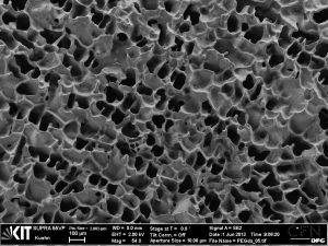 Unter dem Rasterelektronenmikroskop: Hydrogel mit hoher Porendichte als mögliche  Basis eines Prostata-Modells (Aufnahme: Dr. Friederike J. Gruhl, KIT)