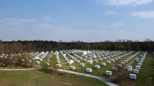 Mit dem Messfeld KASCADE-Grande auf dem Gelände des KIT untersuchten die Wissenschaftler Teilchenschauer, die durch Kosmische Strahlung ausgelöst werden. (Foto: KIT)