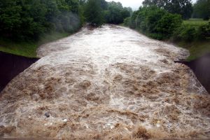 Reißende Wassermassen: vom aktuellen Hochwasser sind vor allem der Osten und der Süden Deutschlands betroffen (Foto: Gabi Zachmann, KIT)