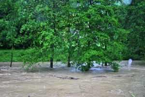 Das Hochwasser beherrscht zurzeit die Nachrichten in Deutschland – um Wasser, Erde und Umwelt geht es auch bei „KIT im Rathaus“. (Foto: Gabi Zachmann, KIT)       