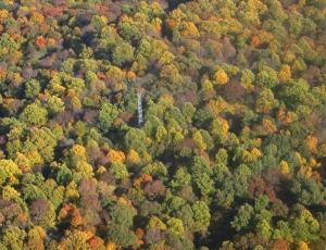 Flugaufnahme vom Morgan-Monroe State Forest in Indiana, einem von sieben Messstandorten in den USA. (Foto: Jennifer Hutton) 