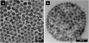 Hybrid particles produced by mini emulsion polymerization: a) Core-shell structure with homogeneous sizes and filling degrees, b) section of a hybrid particle with a filling degree of 40%. (Photos: Lena Hecht, KIT) 