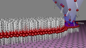 Mithilfe der Lipid Dip-Pen Nanolithography (L-DPN) werden Lipid-Membranen direkt auf den zweidimensionalen Kohlenstoff Graphen aufgebracht. (Grafik: Hirtz/Nature Communications) 