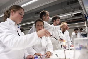 Forschungsorientierte Lehre: Studentinnen und Studenten experimentieren im Labor. (Foto: Martin Lober, KIT)