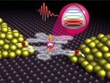 Einzelmolekül-Magnet, bestehend aus einem Metallion und kontaktierenden organischen Molekülen, zwischen Elektroden. Die Kernspinzustände (farbige Kreise) lassen sich elektrisch manipulieren und auslesen. (Abbildung: C. Grupe, KIT)