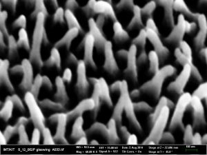 Die Unregelmäßigkeit in Größe und Verteilung der Nanostrukturen auf der Oberfläche des Schmetterlingsflügels bewirkt die geringe Licht-Reflexion bei allen Blickwinkeln. (Foto: Radwanul Hasan Siddique, KIT)