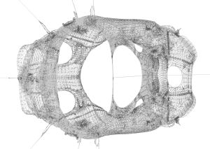 KaDraw draws complex graphs more efficiently and optimizes their representation. (Graphics: Dr. Christian Schulz, KIT)