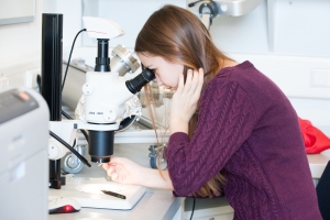 Reinschnuppern in Wissenschaft und Technik – beim Girls‘ Day 2015 stellt das KIT Berufsperspektiven vor (Foto: Tanja Meißner, KIT)