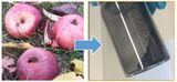 Das neue kohlenstoffbasierte Material für Natrium-Ionen-Batterien kann aus Äpfeln gewonnen werden. (Abbildung: KIT/HIU)