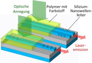 2016_034_Nature_-_Laserquelle_fuer_nanophotonische_Biosensoren_72dpi