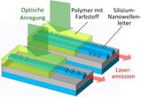 Organischer Laser auf einem Silizium-Photonik-Chip: Eine optische Anregung von oben führt zu Laserlicht im Wellenleiter. (Bild: KIT) 