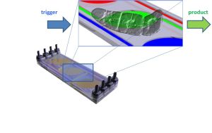 Am KIT entwickelt: Der mikrofluidische Bioreaktor ahmt Pflanzengewebe technisch nach. Im neuen Projekt machen die Forscher nun den nächsten Schritt (Quelle: KIT)