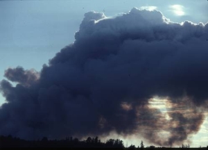 Die zukünftige Entwicklung des Klimas und der Bevölkerung haben großen Einfluss auf das Entstehen und die Ausbreitung von Flächenbränden (Foto: Almut Arneth).