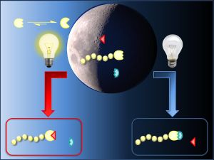 Wie sich mit Licht chemische Prozesse schalten lassen, haben Wissenschaftler des KIT gemeinsam mit internationalen Kollegen grundlegend untersucht.  Graphik: KIT