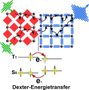Photonen-Hochkonversion: Die Energieübertragung zwischen den Molekülen basiert auf einem Austausch von Elektronen (Dexter-Transfer) (Abbildung: Michael Oldenburg) 