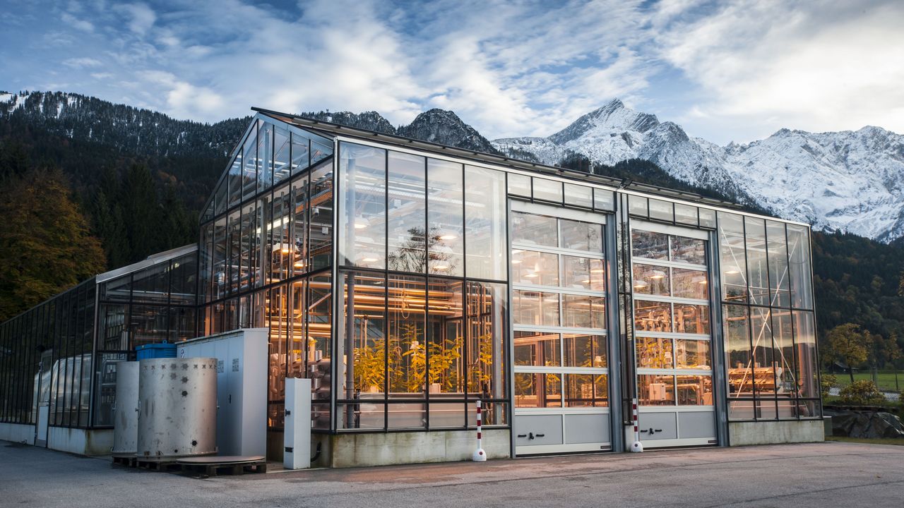 Am Fuß der Zugspitze erforscht das IMK-IFU das Zusammenspiel von Klima, Vegetation, Böden und Wasserverfügbarkeit. (Foto: Markus Breig, KIT)