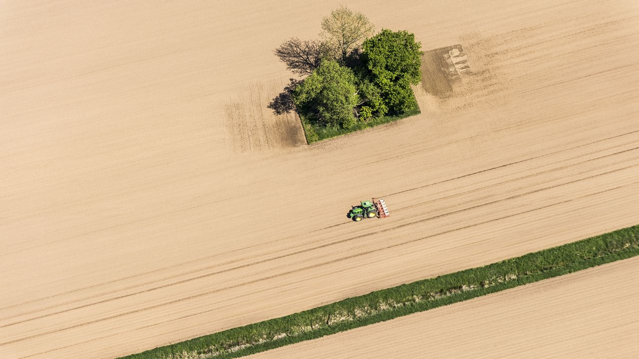 Fast die Hälfte des weltweit geernteten Getreides geht durch Überernährung, Verschwendung und ineffiziente Produktionsprozesse verloren. (Foto: Markus Breig, KIT)