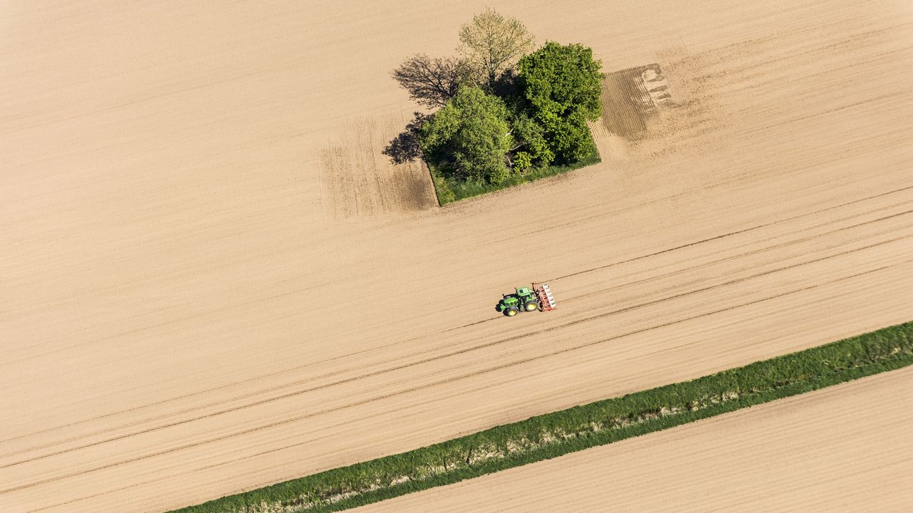 Almost half of harvested crops is lost through overeating, waste, and inefficient production processes. (Photo: Markus Breig, KIT)