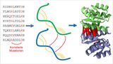 2017_037_Big Data Approach to Predict Protein Structure_72dpi