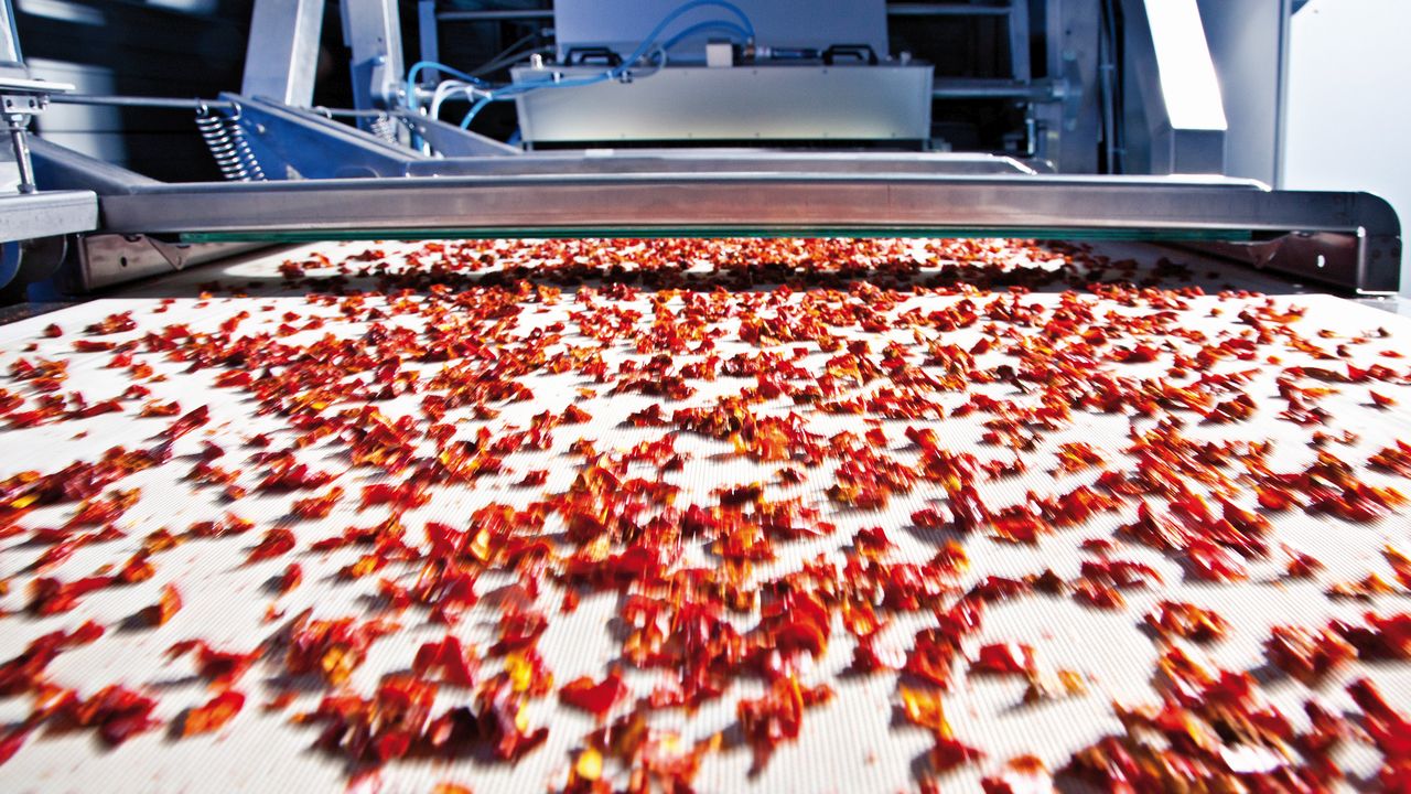 Dried fruit, gravel or waste – all this is sorted on belt systems by size and quality. (Photo: Fraunhofer IOSB)