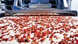 Dried fruit, gravel or waste – all this is sorted on belt systems by size and quality. (Photo: Fraunhofer IOSB)