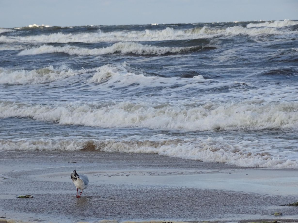 2017_079_Meer – Rohstoffquelle, Klimafaktor und Fluchtweg_72dpi