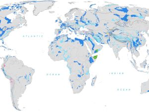 Ausschnitt der „World Karst Aquifer Map“ im Maßstab 1:40 000 000. (Quelle: BGR, IAH, KIT und UNESCO)
