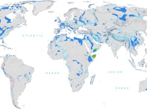 Section of the “World Karst Aquifer Map“ scaled 1:40,000,000. (Sources: BGR, IAH, KIT, and UNESCO)