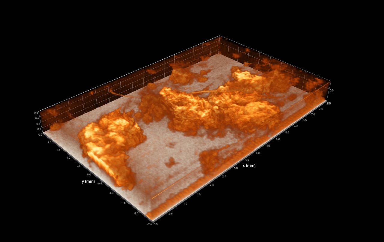 Biofilm auf der Anode (Boden) der Brennstoffzelle: Mit optischer Kohärenztomographie machen Forscher des KIT die mikrobiellen Biofilme sichtbar, die elektrische Energie erzeugen (Grafik: Michael Wagner, KIT) 