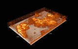 Biofilm on the anode (bottom) of the fuel cell: KIT researchers use optical coherence tomography to visualize the microbial biofilms that generate electric energy. (Graphics: Michael Wagner, KIT)