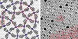 Aus einem Baustein (links, roter Umriss) – bestehend aus zwei Teilen und einem Silber-Atom (blau) – entstehen komplexe, halbreguläre „Parkettmuster“ (rechts, Mikroskopbild). (Bild: Klappenberger und Zhang / TUM)