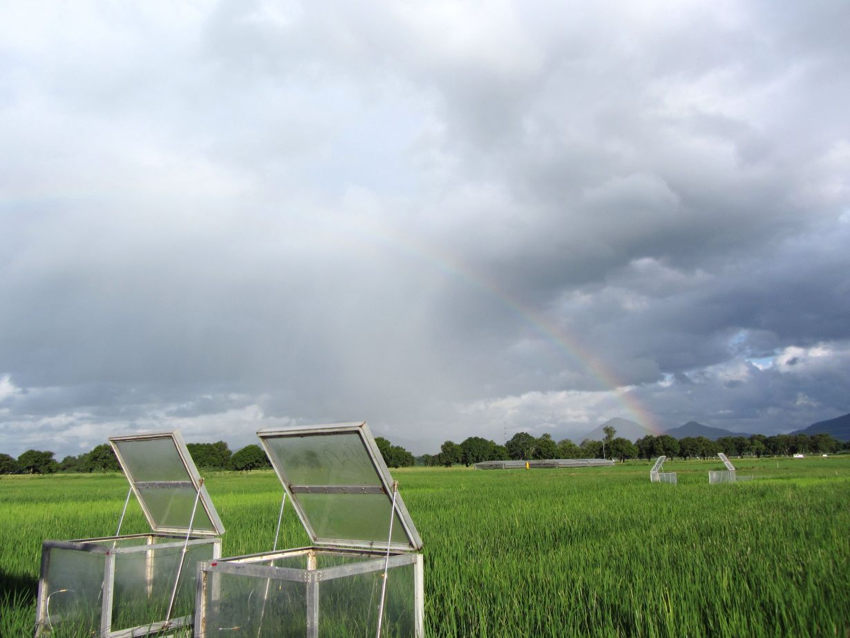 Trace gas measurement on the Philippines. (Photo: Klaus Butterbach-Bahl, KIT) 