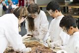 Bei der Kinder-Uni am KIT können Schülerinnen und Schüler zwischen sieben und 14 Jahren den Unialltag mit Experimenten erleben. (Foto: Lydia Albrecht)