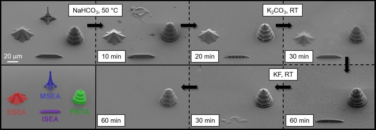 Dreidimensionale Mikrostrukturen aus verschiedenen spaltbaren Fotolacken. Die Rasterelektronenmikroskopaufnahmen zeigen den selektiven Abbau der Strukturen. (Skalierung 20 µm) (Abb.: Nature Communications) 