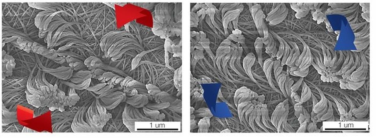 2018_147_Science - Neue Materialien – Wie Polymerpelze selbstorganisiert wachsen_72 dpi